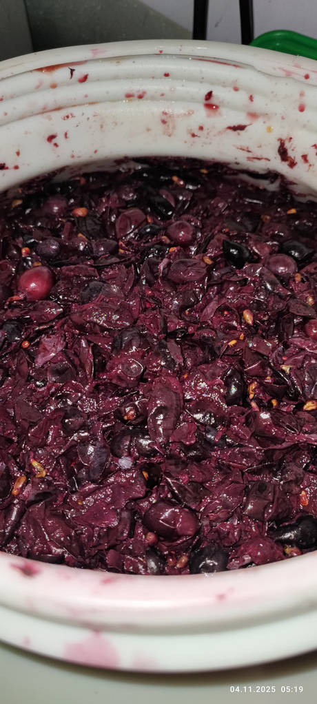 Дріжджі винні LALVIN RC 212 для червоного вина 16% - фото покупців 1