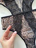 Леопардове жіноче боді боді з мереживом, фото 7