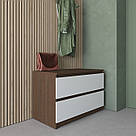 Стильний комод без ручок у передпокій 80 см Тумба на 2 ящики в мінімалістичному дизайні для одягу з ЛДСП, фото 8