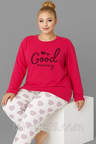 Піжама жіноча з начосом на байці більші розміри PLUS SIZE (БАТАЛ) L-4XL Туреччина, фото 1