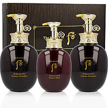 Шампунь та есенція на травах в наборі для комплексного догляду за волоссям The History of Whoo WHOOSPA Hair