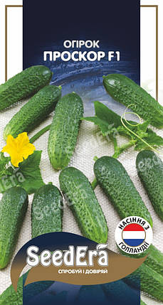 Насіння Ранньостиглий Огірок ПРОСКОР F1 10шт,  Seedera (Голандія), фото 1