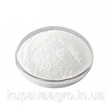 Альбендазол 10%, 500 г (своє виробництво), фото 2