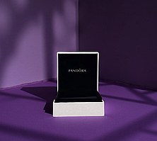 Велика коробочка для прикрас