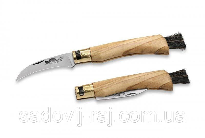 Ніж грибника Old Bear M 19 см Antonini (9387/19LU) Італія, фото 1