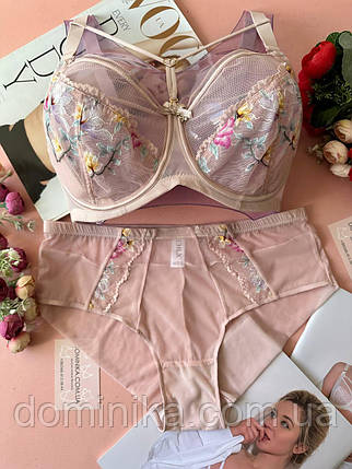 80/85/90/95/100D Комплект жіночої білизни чашка D з мікросітки та вишивкою, трусики високі пудровий, фото 1