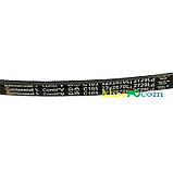 Ремінь Continental Conti V C105 (22.0x2758La) — 1724154M1 CONTINENTAL, фото 3