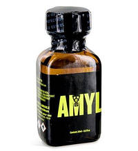 💎 Універсальний засіб для догляду за виробами зі шкіри Amyl, 24 мл