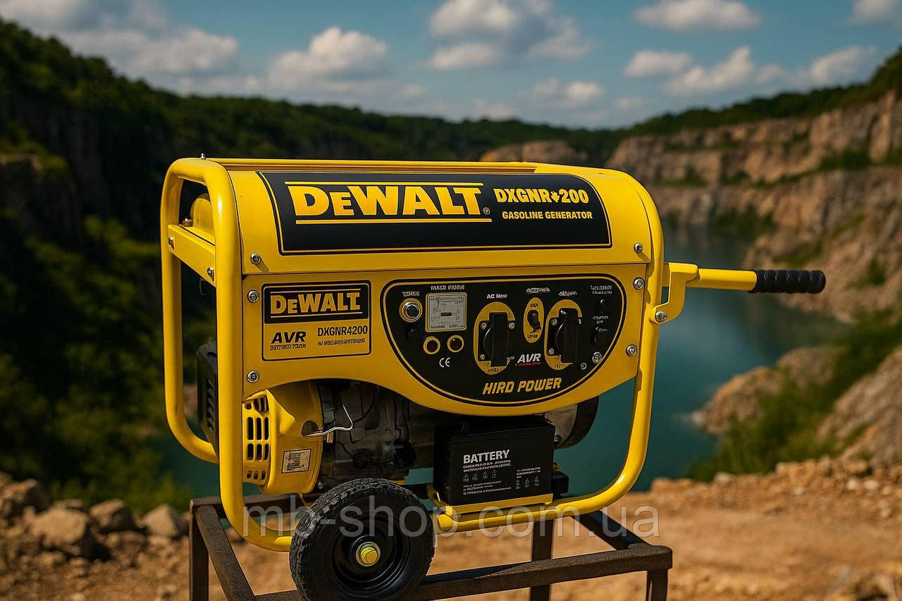 Газ-Бензиновий мультипаливний генератор Dewalt DXGNR 4200, фото 1