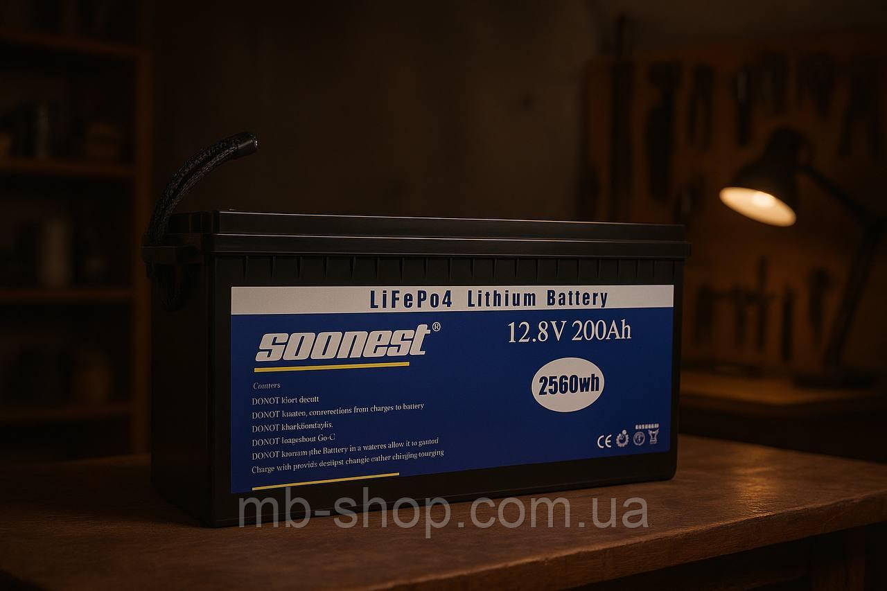 Акумуляторна літієва батарея LiFePO4 на 12,8V ємністю 200Ah Soonest 2560Wh, фото 1