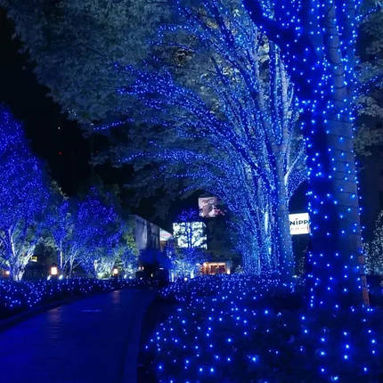 Вулична гірлянда 800 LED, 50 м, синє світло, зелений провід, святкова світлодіодна гірлянда для зовнішнього та внутрішнього декору, фото 1