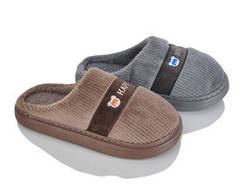 Чоловічі шльопанці Lion