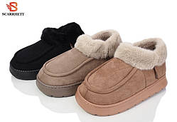 Дедушы мужские Scarrhet