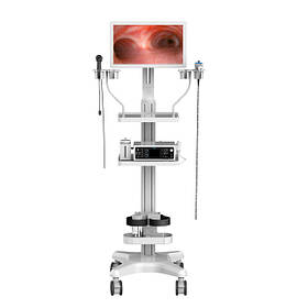 Ендоскопічні стійки