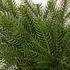 Новорічна хвойна гірлянда лита зелена Північна зірка 60*35 см TD-NSTGR1, фото 5