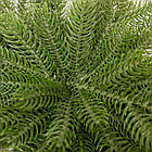 Новорічна хвойна гірлянда лита зелена Північна зірка 60*35 см TD-NSTGR1, фото 6