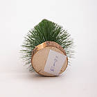 Новорічна настільна ялинка зелена Стріла 25 см на дерев'яній підставці SOK-М-12-3, фото 3