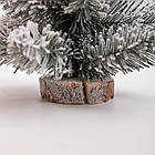 Штучна новорічна міні ялинка «Полонинська» зимова 25 см SOK-M-04-1, фото 3