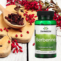 Берберин — природний регулятор ваги, цукру та холестерину: користь, прийом і правильний вибір