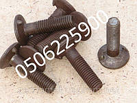 Метиз норійний