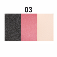 Набір для макіяжу (пудра, тіні та рум'яна) GP-845 № 03