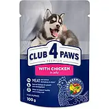 Club 4 Paws Premium Клуб 4 лапи - консервований корм для цуценят всіх порід собак з куркою у желе, 100 гр, фото 2