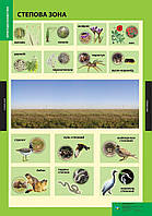 ПЛАКАТ Степова зона