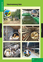 ПЛАКАТ Тваринництво