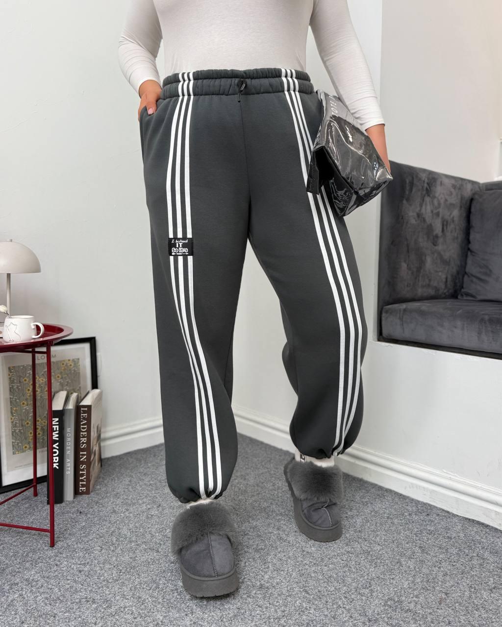 Теплі сірі спортивні штани/джогери великого розміру на флісі з лампасами, фото 1
