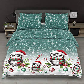 Постільна білизна Євро 200х220 Новорічні сови (518324-3) Бязь Ранфорс з бавовни