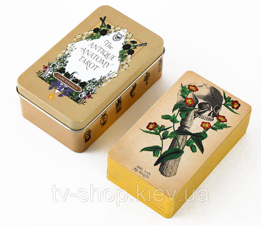 Карти Таро Антічної Анатомії (Antique Anatomy Tarot), фото 1