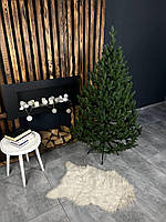 Ялинка лита Віденська зелена 1,5м