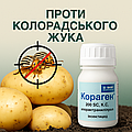 Кораген BASF проти колорадського жука: дія, дозування і переваги