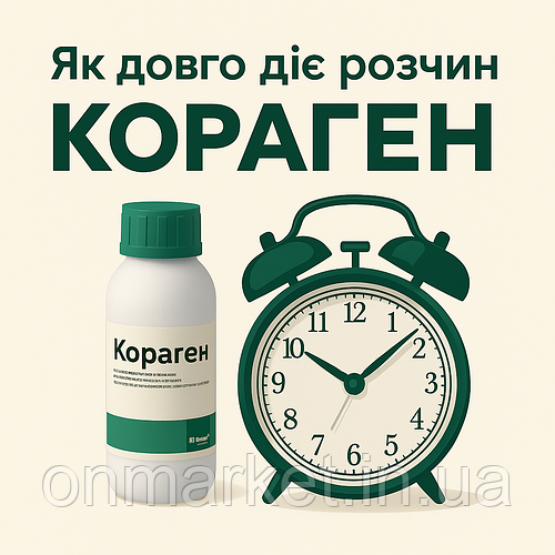 Скільки часу зберігає ефективність розчин Корагену після приготування