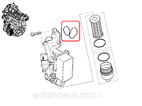 Прокладка корпусу масляного фільтра на Рено Трафік 2.0 dCi - Renault (оригінал) 7701062113