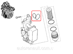 Прокладка корпусу масляного фільтра на Рено Трафік 2.0 dCi - Renault (оригінал) 7701062113