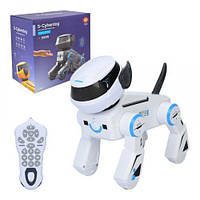 Собака інтер-чна (Біла)