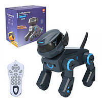 Собака інтер-чна (сіра)