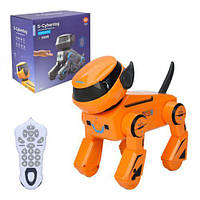 Собака інтер-чна (жовтогаряча)