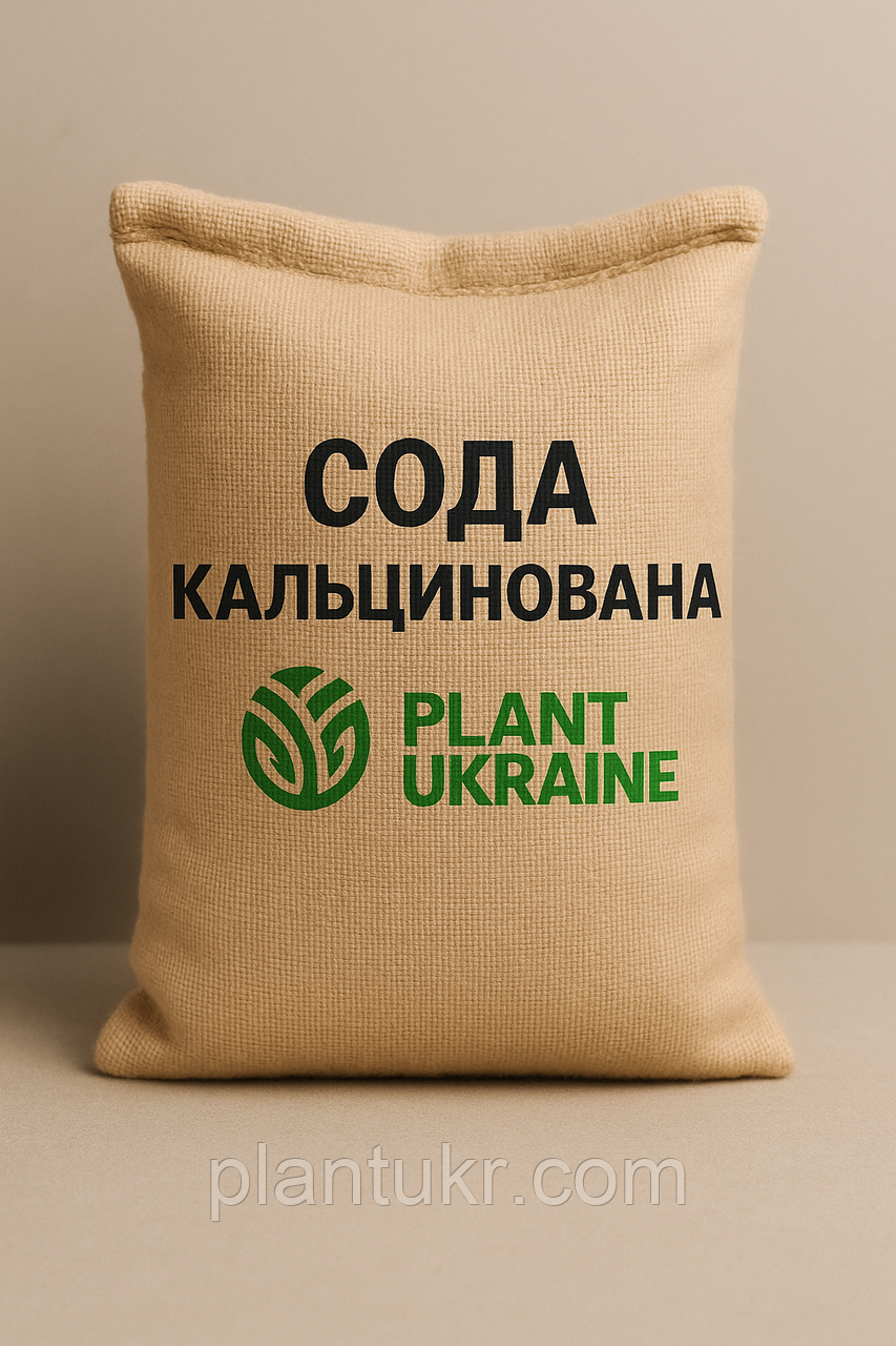 Сода кальцинована Туреччина (карбонат натрію, натрій вуглекислий)
