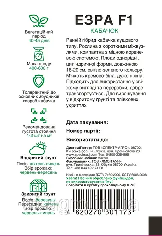 Кабачок Езра F1 5нас.Спектр, фото 2