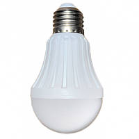LED Lamps