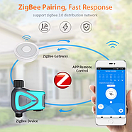 Розумний сплінкер для поливу 1DAL WV09B2 (ZigBee), фото 4