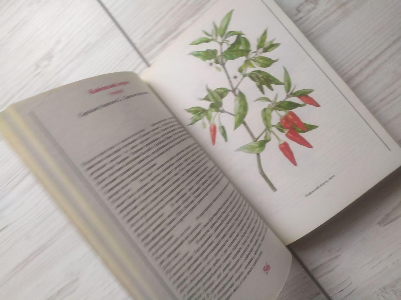 Product image preview