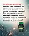 Курс GelmintoStop Протипаразитарний 3 упаковки АІМ, фото 2