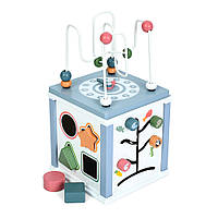 Розвиваюча іграшка Tree Toys бізікуб MD 1381