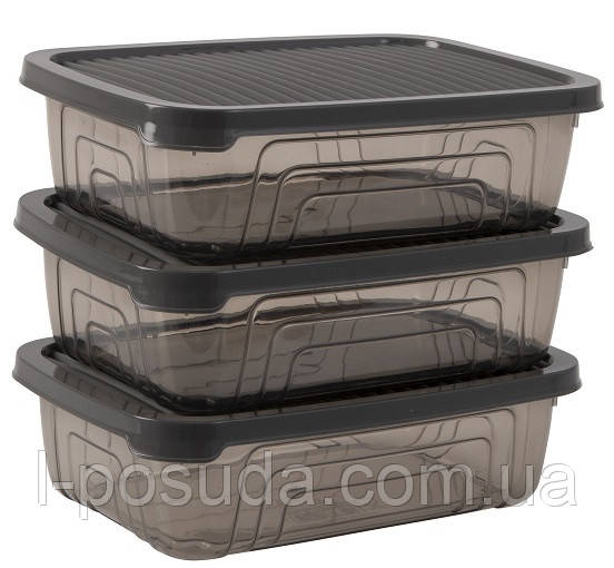 Набір контейнерів Herevin Style Grey 0.6 л (162331-012) (6988936), фото 1