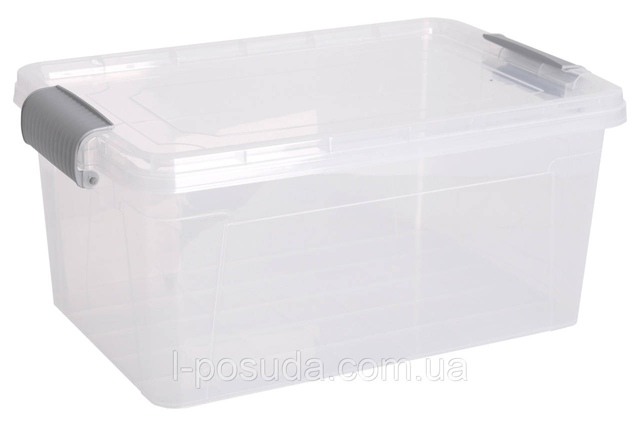 Контейнер Violet House Family Box (6579594), фото 1