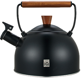 Чайник IQ Вe Natural (2.5 л) (7004629)