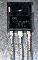 Транзистор YGW75N65F1 75A 650V TO-247 IGBT